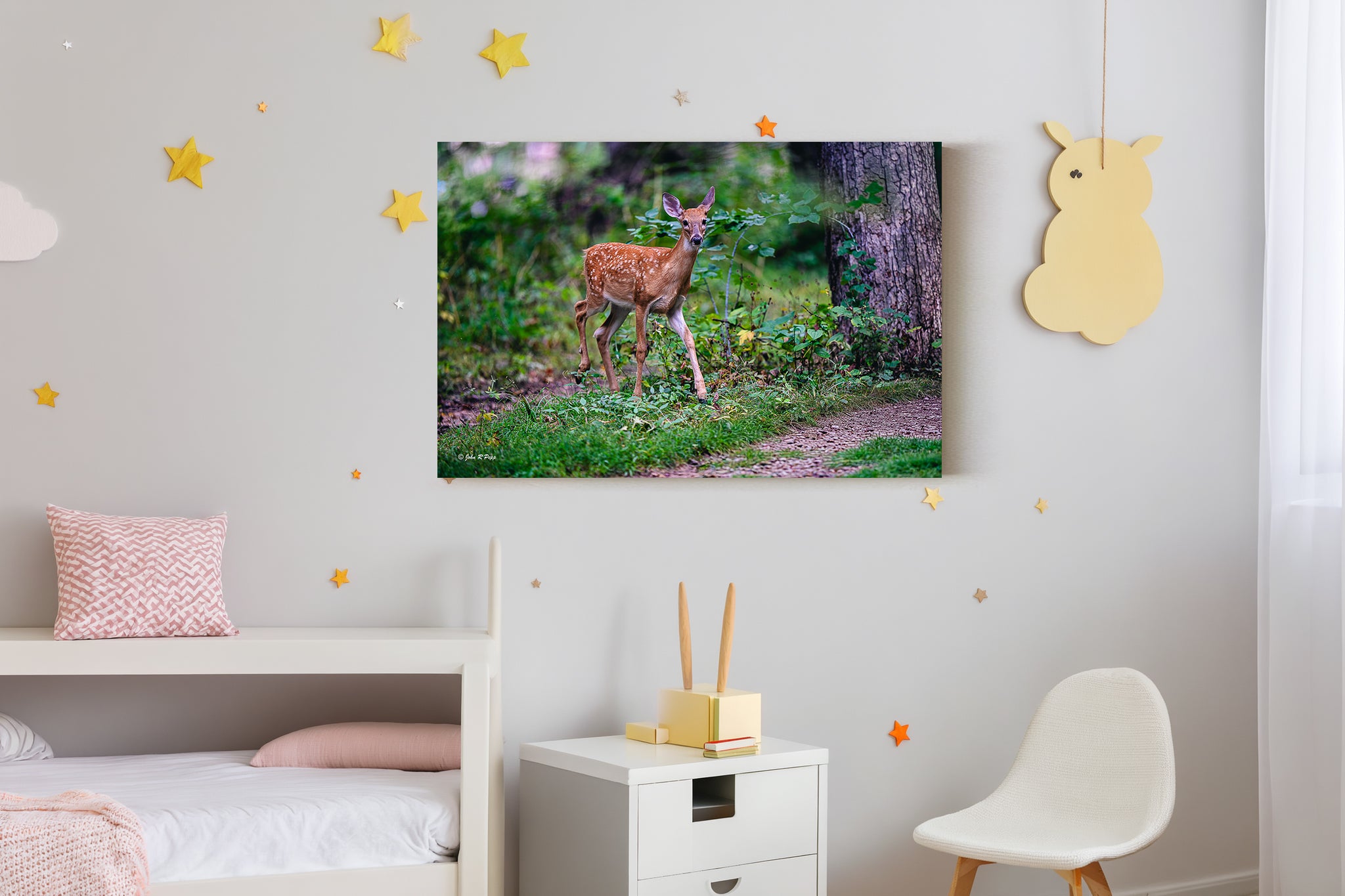 Fawn's Gaze - A Moment of Pure Innocence in the Forest