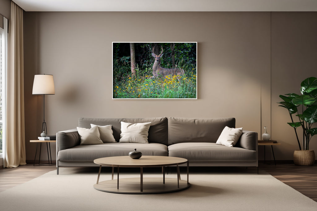 White-Tailed Buck in Motion