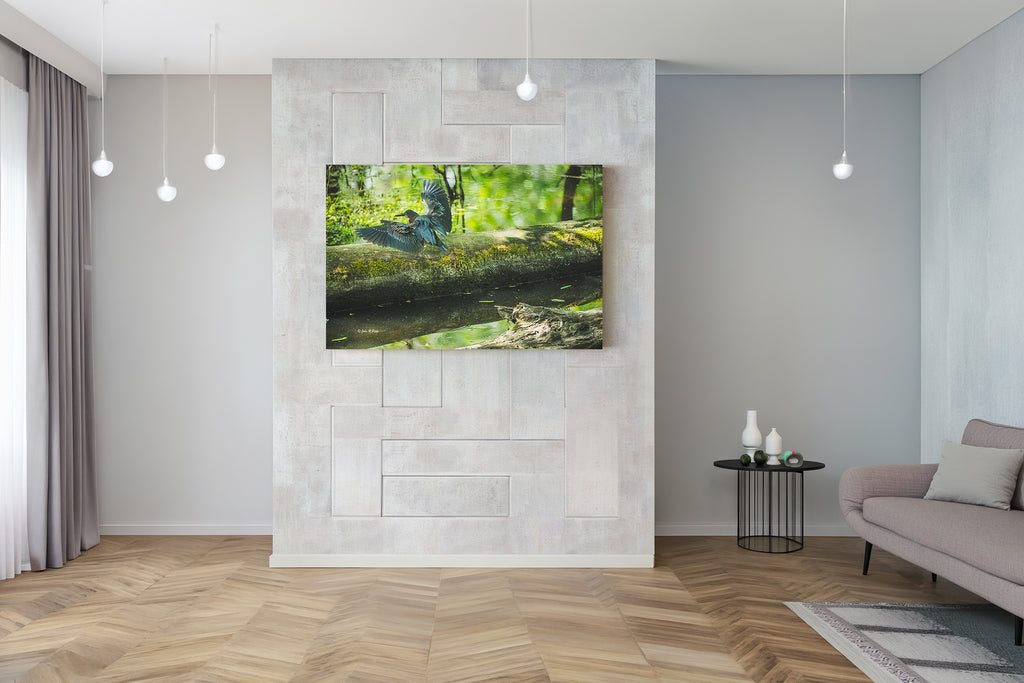 Green Heron Landing on Fallen Tree - HD Acrylic Print