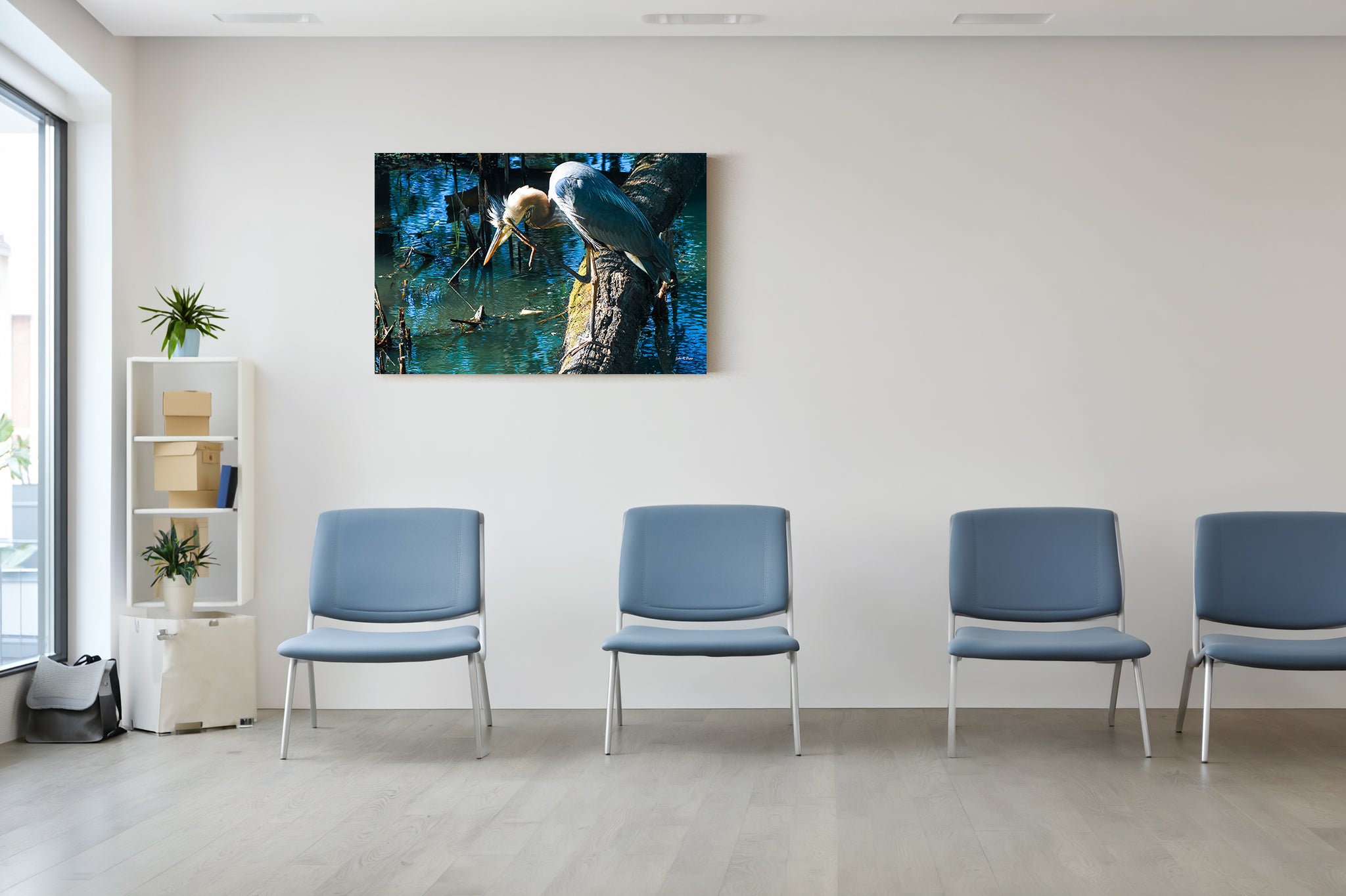 Great Blue Heron in Deep Thought - Contemplative Moment