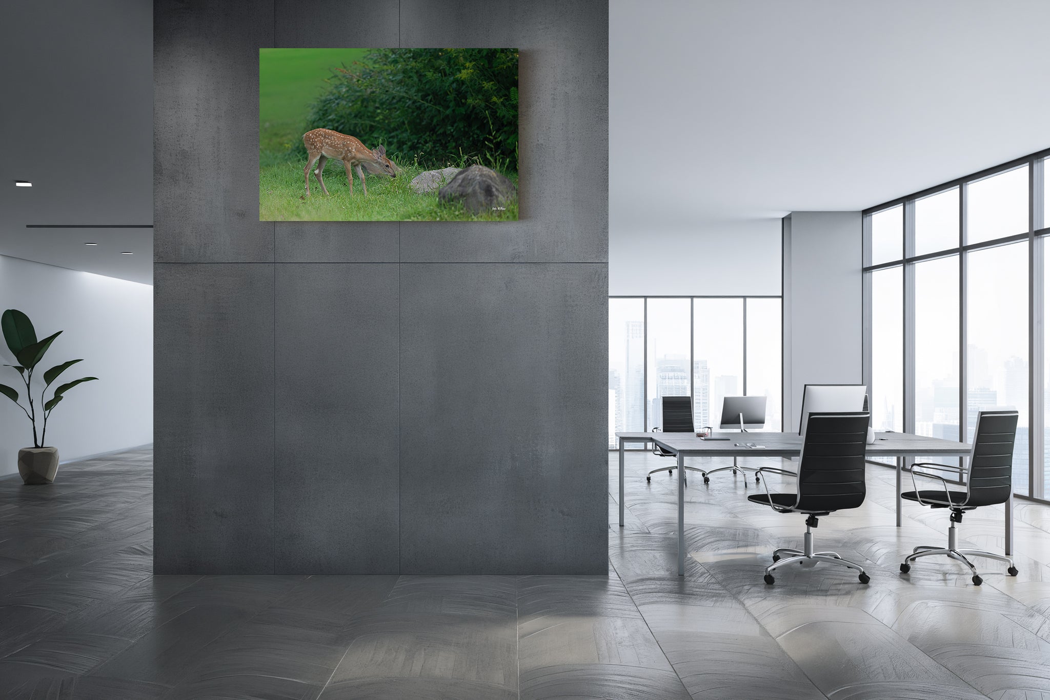 White-Tailed Fawn Eating Grass - Adorable Forest Moment