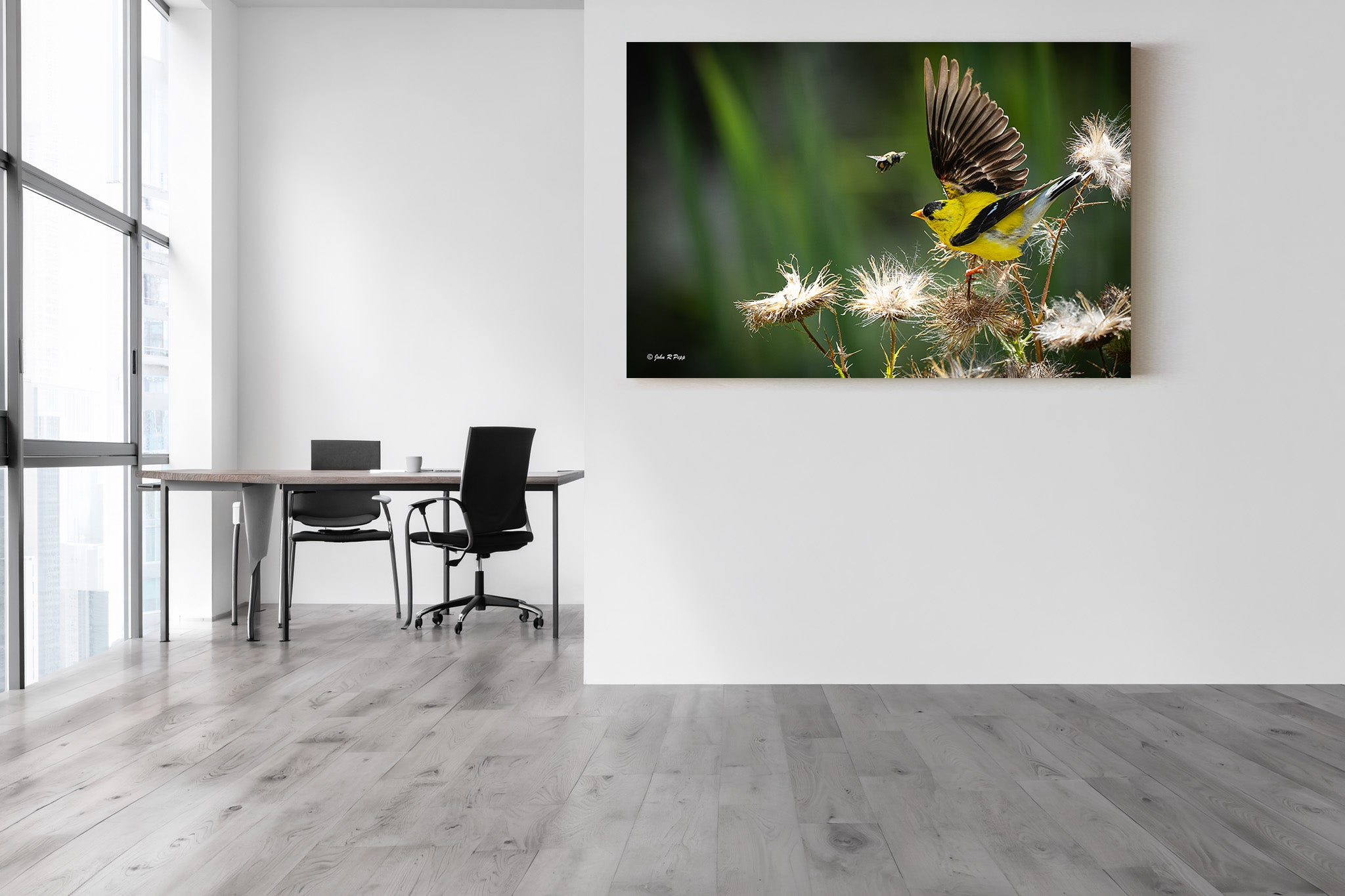 American Goldfinch and the Bee - A Moment of Natural Whimsy